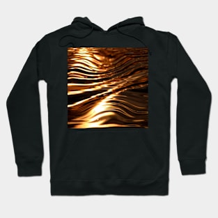 A golden moment 2 Hoodie